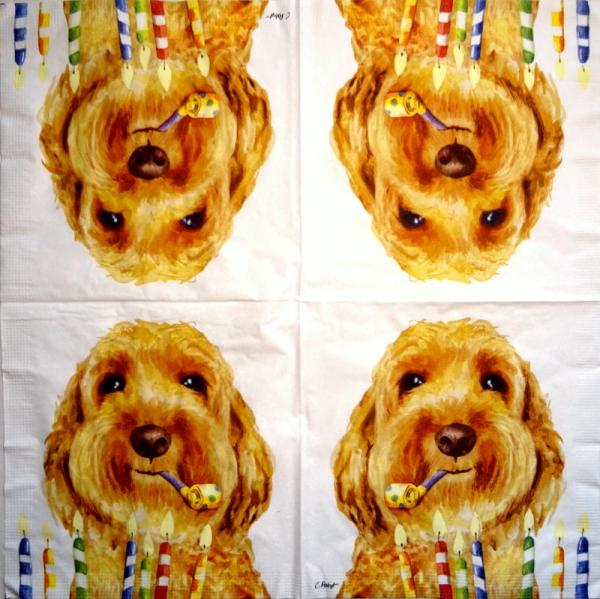 HUN-653 Dogs - 3-ply - ppd - Carola Pabst